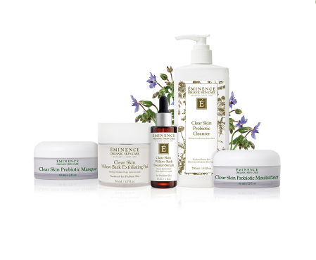 Clear Skin Starter Set *Minis Collection*
